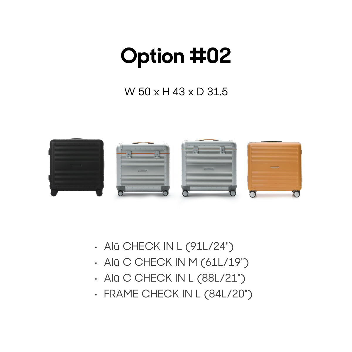 R TRUNK COVER - CHECK-IN SIZE (ALL TYPES)