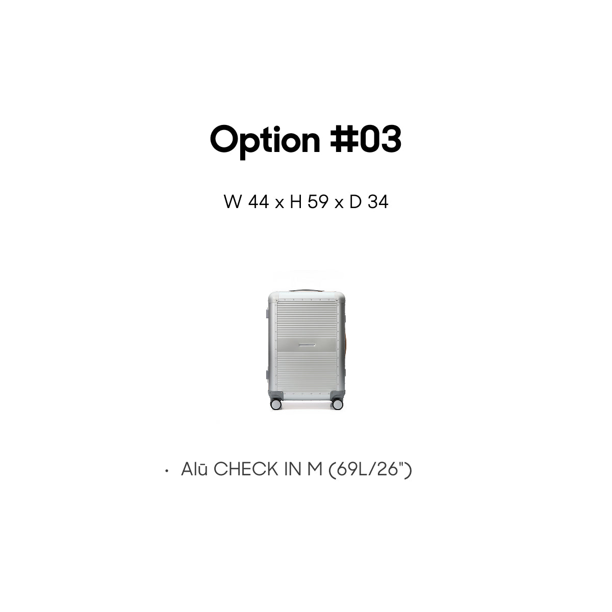 R TRUNK COVER - CHECK-IN SIZE (ALL TYPES)