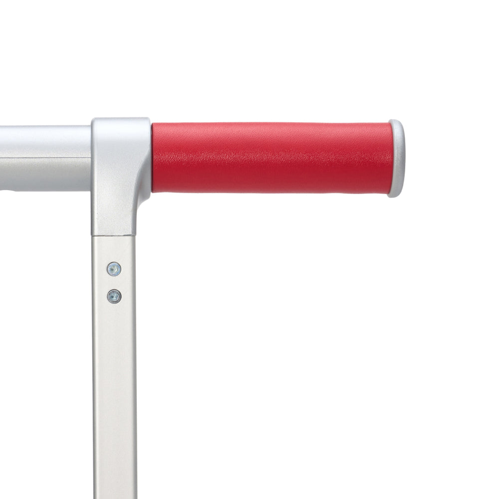 R TRUNK TT HANDLE™ LEATHER 921 - RAWROW