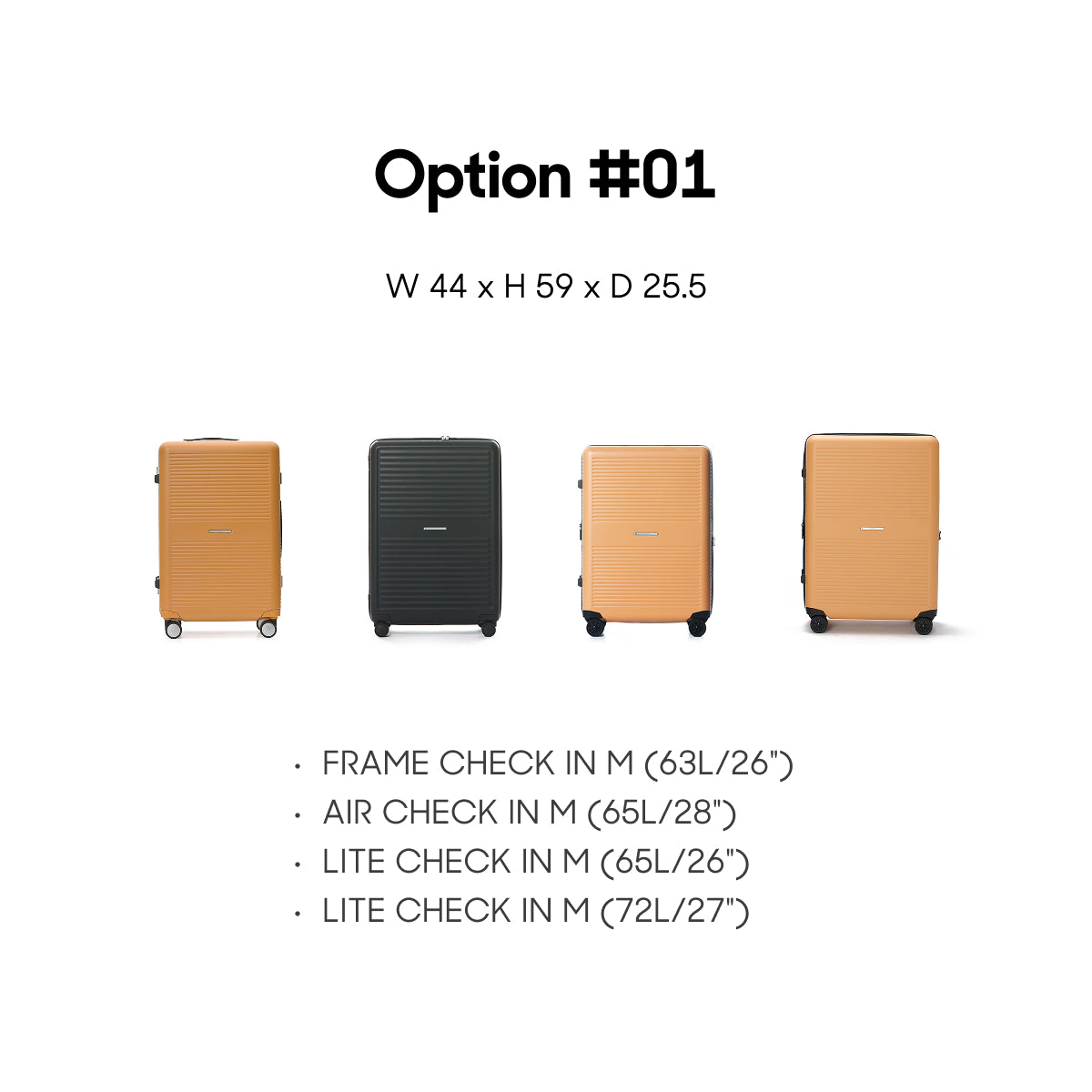 R TRUNK COVER - CHECK-IN SIZE (ALL TYPES)